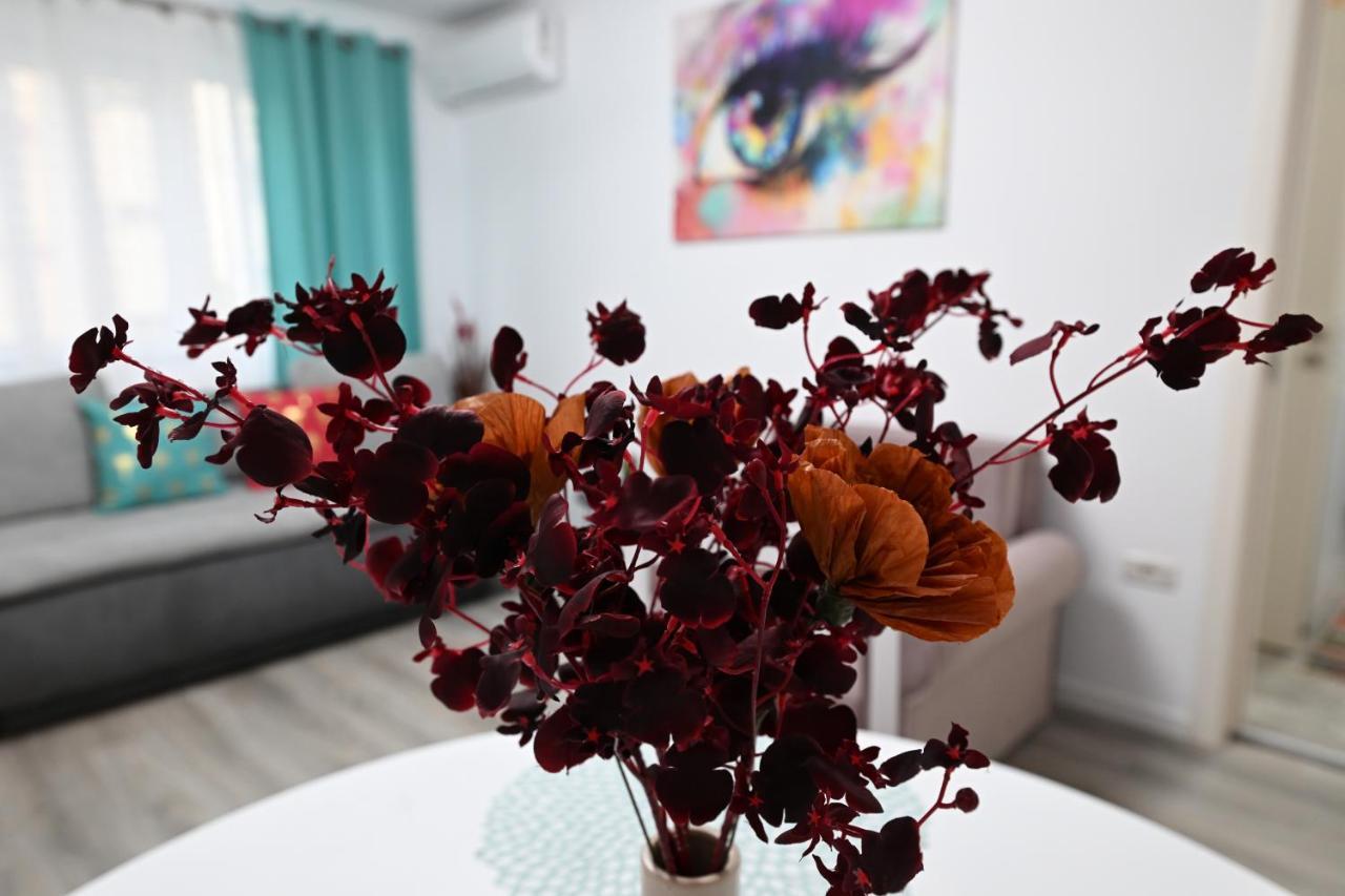 L&R Boutique Apartment Otelu Rosu Exterior photo